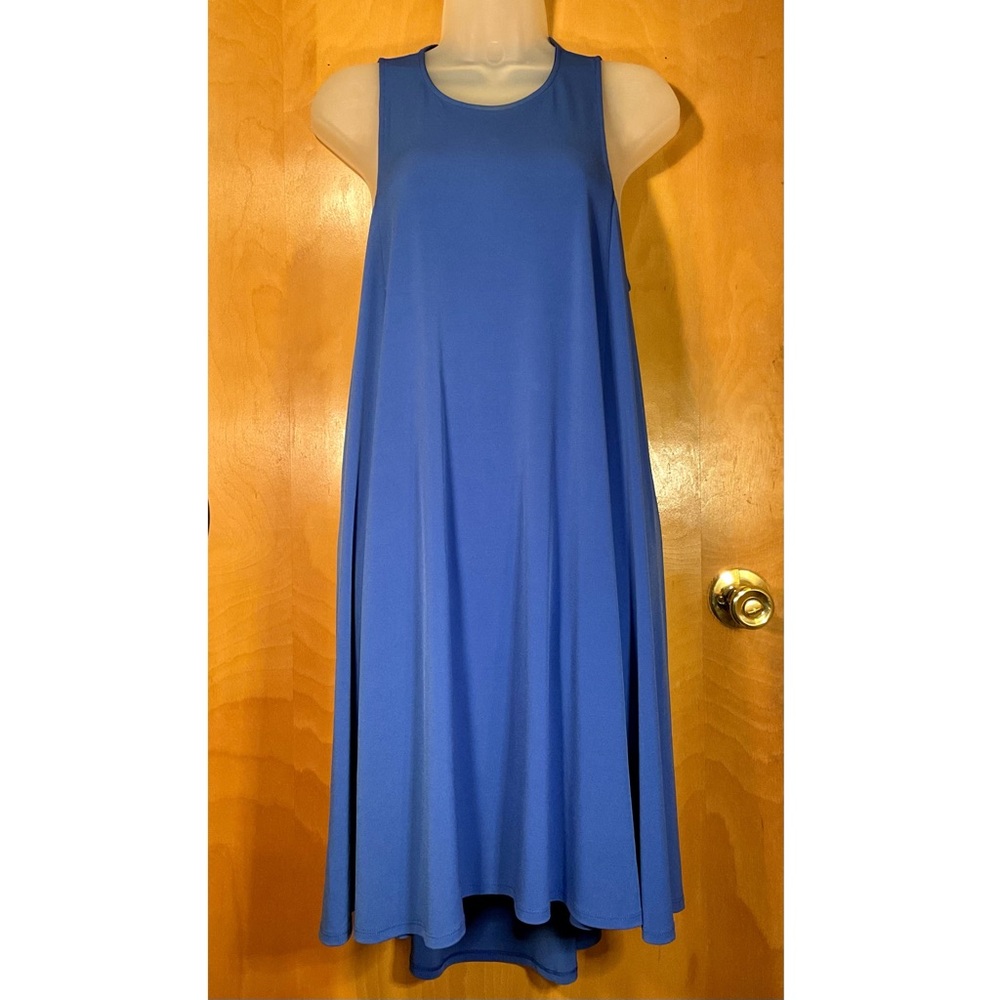Express Blue Dress - Picture 1 of 3